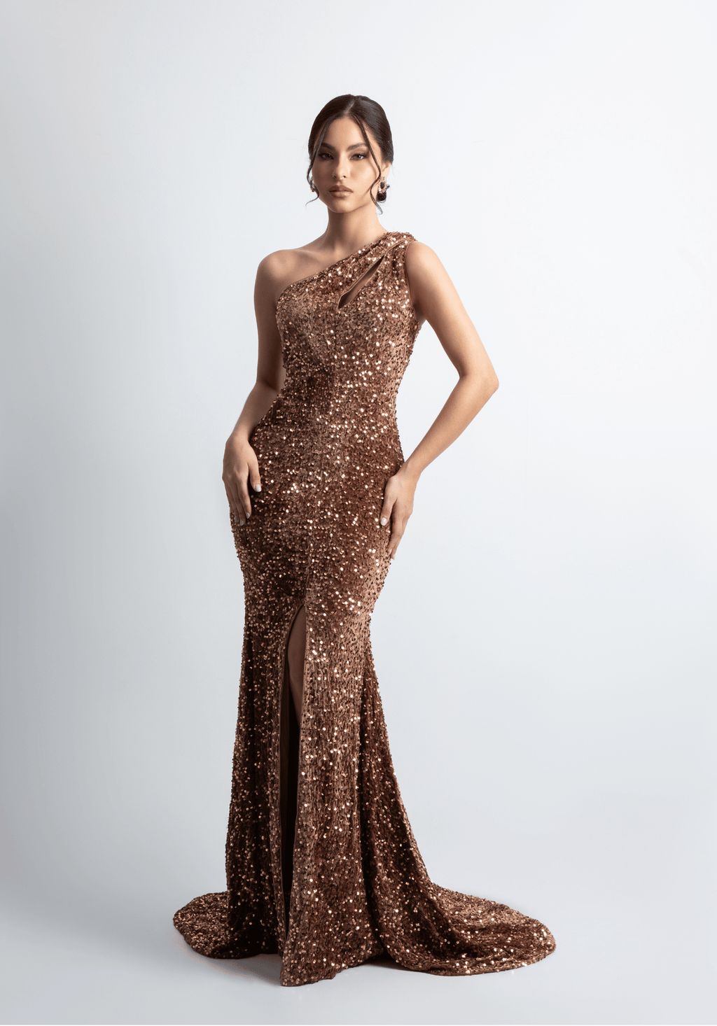 Bronce Dress